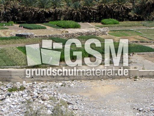 149 Landwirtschaft.JPG